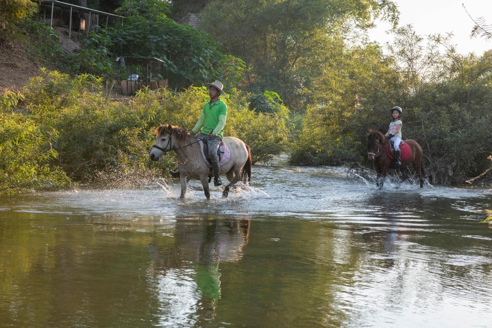 Namkhan Horses Stables Luang Prabang Zewnętrze zdjęcie