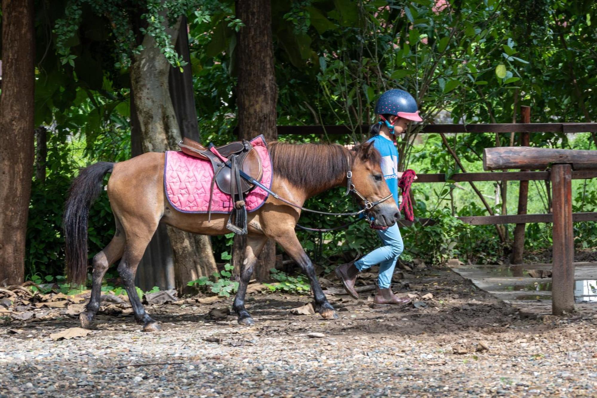 Namkhan Horses Stables Luang Prabang Zewnętrze zdjęcie
