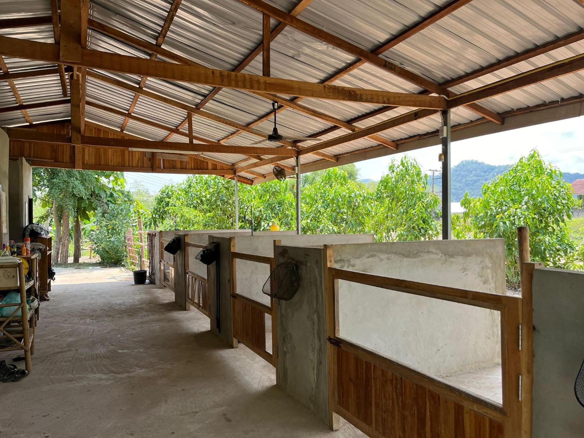 Namkhan Horses Stables Luang Prabang Zewnętrze zdjęcie